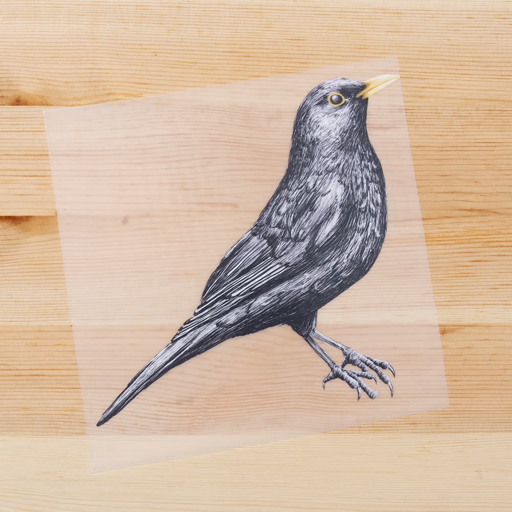 Vuorella kangaskauppa, silityskuvat - Mustarastas silityskuva