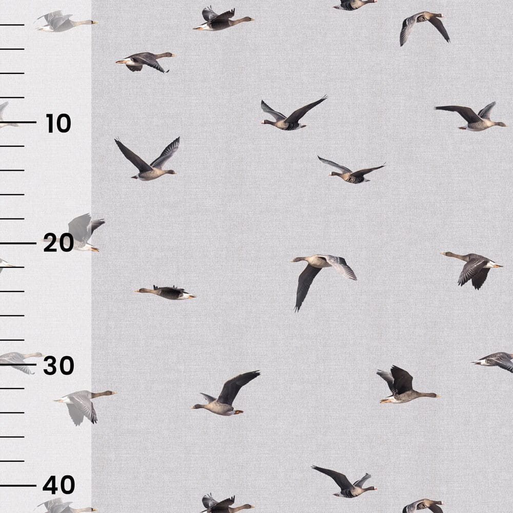 Vuorella kangaskauppa – Hanhien muutto harmaa