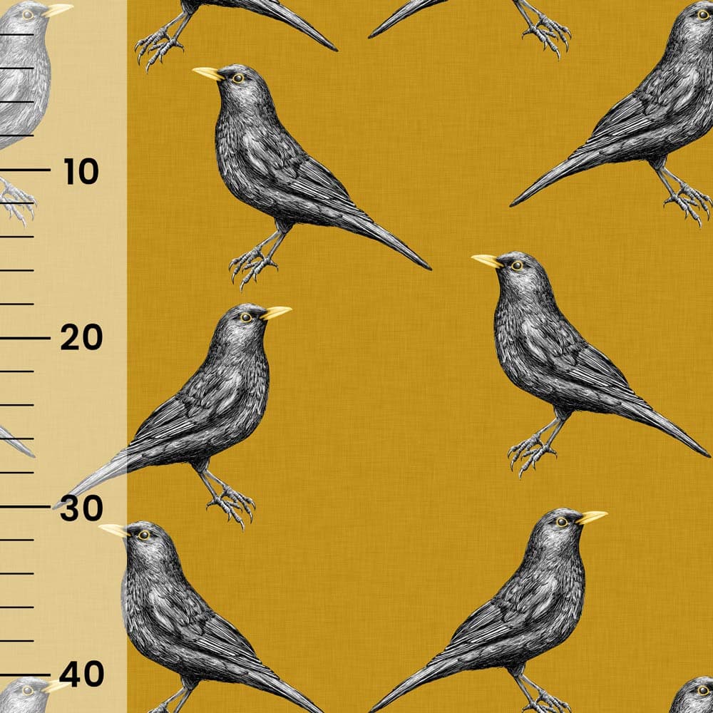 Vuorella_mustarastas_kelt_tuotekuva_6_2025