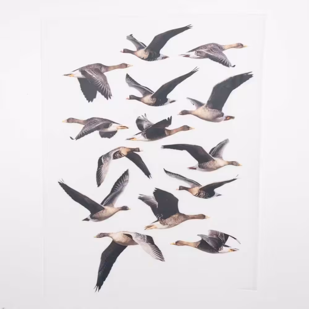 Vuorella kangaskauppa -Muutto silityskuva