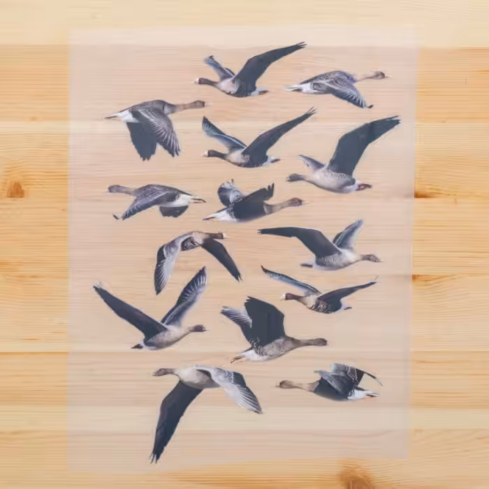 Vuorella kangaskauppa -Muutto silityskuva